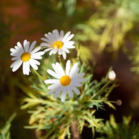 Katherine's * Kanálion